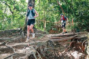 BIB: 
                            <button type="button" onclick="openModal(27719848)" class="btn btn-primary btn-sm float-right btn-popup" data-toggle="modal" data-target=".modal-high-quality">
                        <i class="fas fa-shopping-cart"></i> Add to Cart
                    </button>
                                            <button type="button" onclick="isThisMe(27719848, true)" class="btn btn-success btn-sm float-right btn-popup btn-isme hidden" data-toggle="tooltip" data-placement="bottom" title="นี่คือรูปของคุณใช่ไหม คลิกที่นี่เพื่อเอาเข้าอัลบั้ม">
                        <i class="fas fa-plus"></i> Add to album
                    </button>
                    <button type="button" onclick="isThisMe(27719848, false)" class="btn btn-warning btn-sm float-right btn-popup btn-isnotme hidden">
                        <i class="fas fa-ban"></i> Remove from album
                    </button>